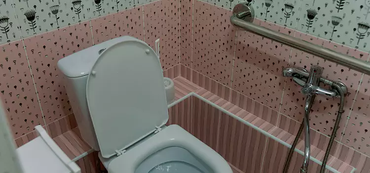 Meeting Diverse Needs With Accessible Restroom Solutions in Coon Rapids, MN