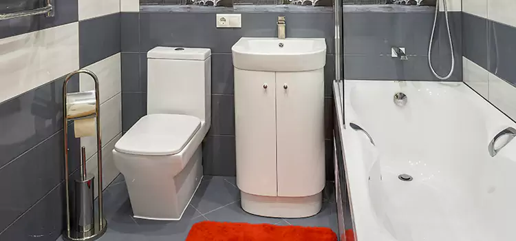 Hansgrohe Shaving Mirror Coon Rapids